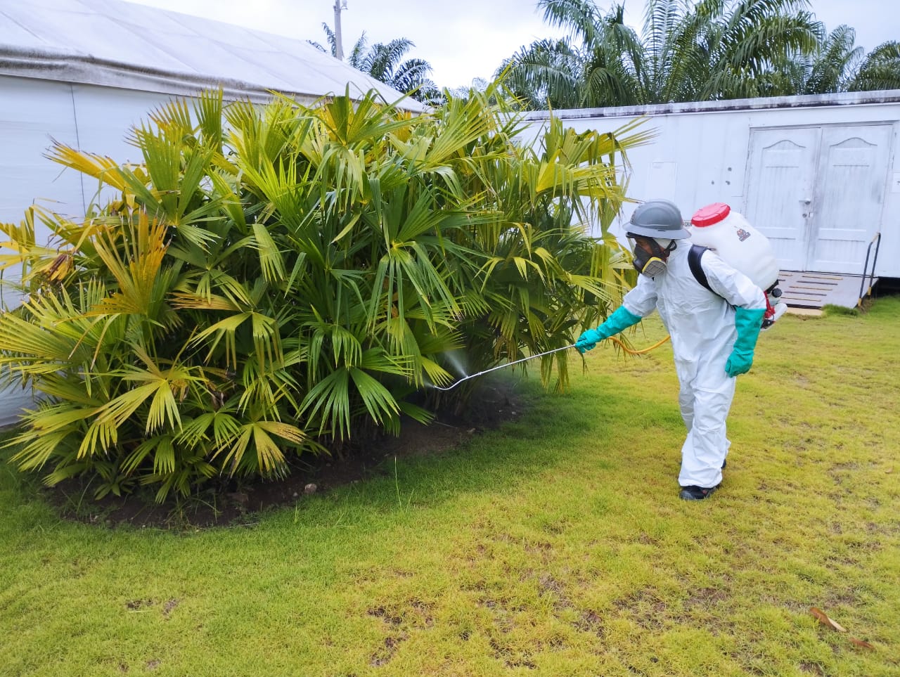 Fumigación y desinfección contra plagas y vectores.